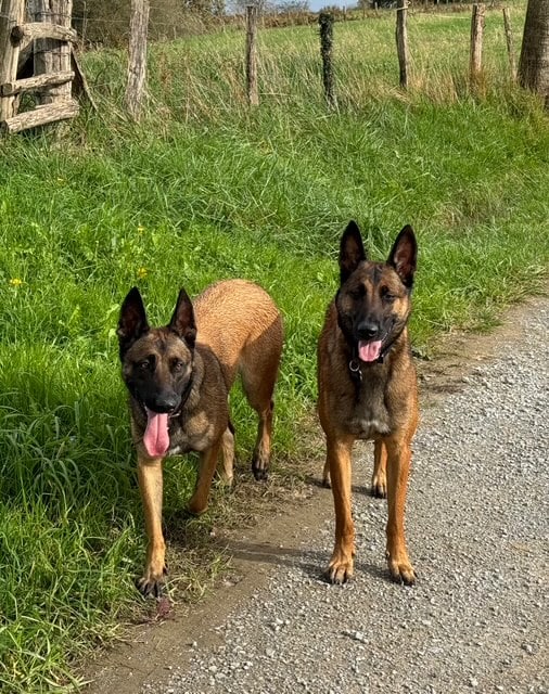 Florence Auclair - Educateur Canin